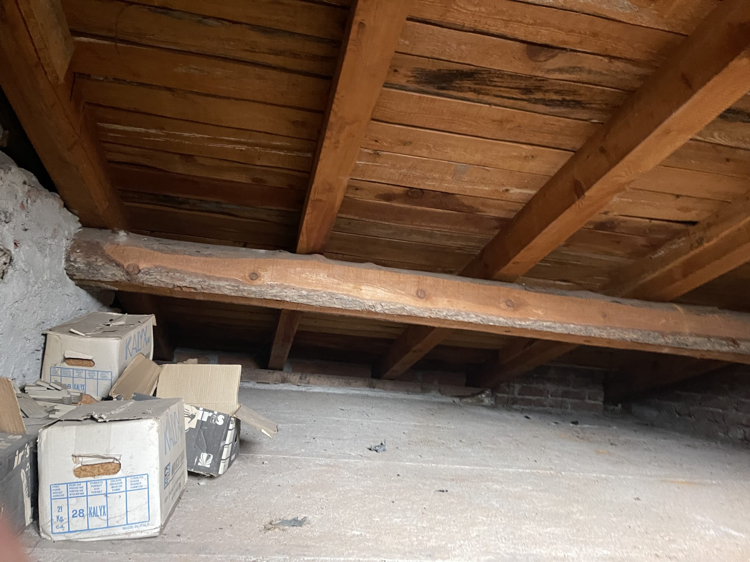 Il Rustico - Agenzia Immobiliare