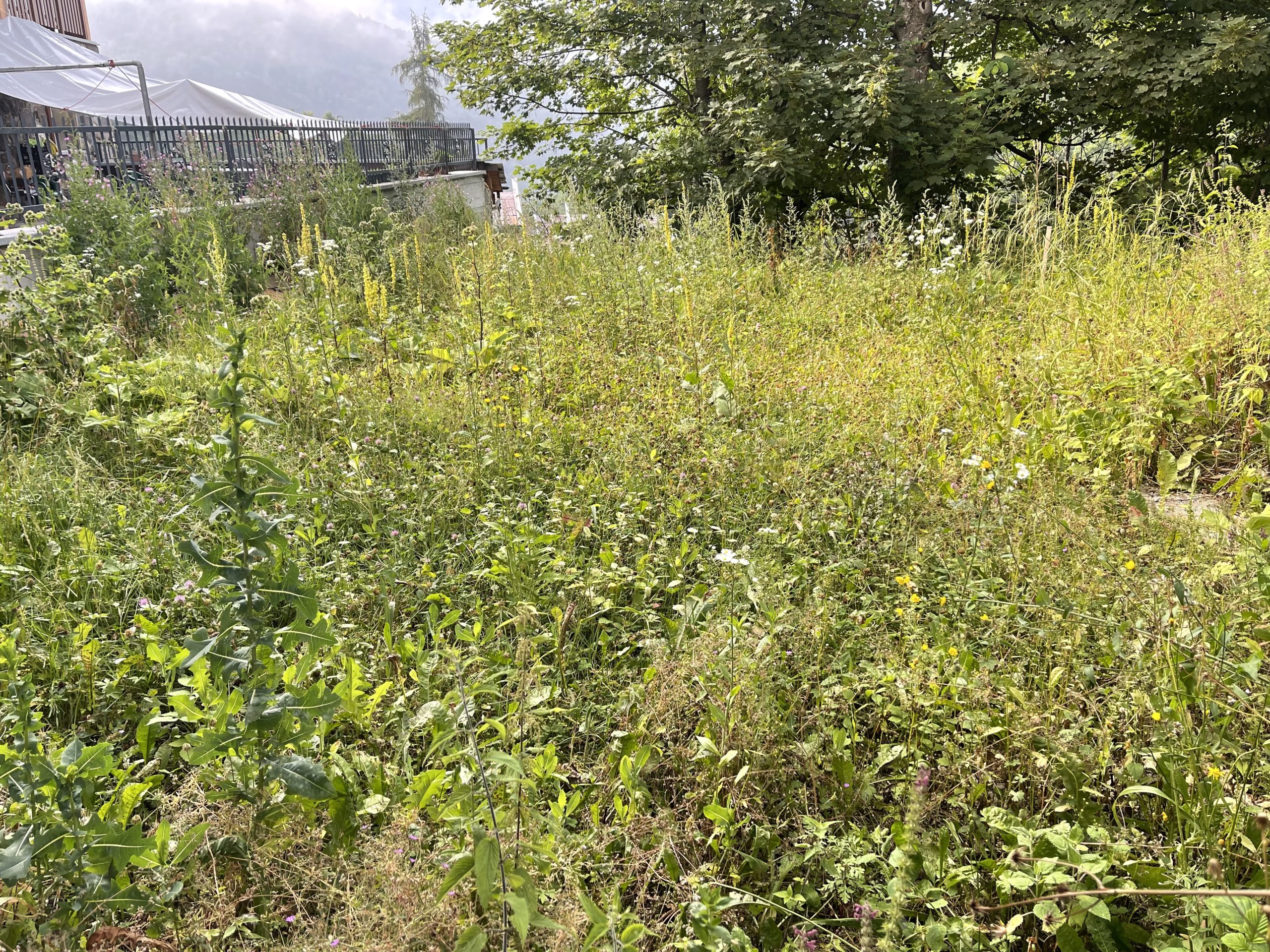 Il Rustico - Agenzia Immobiliare