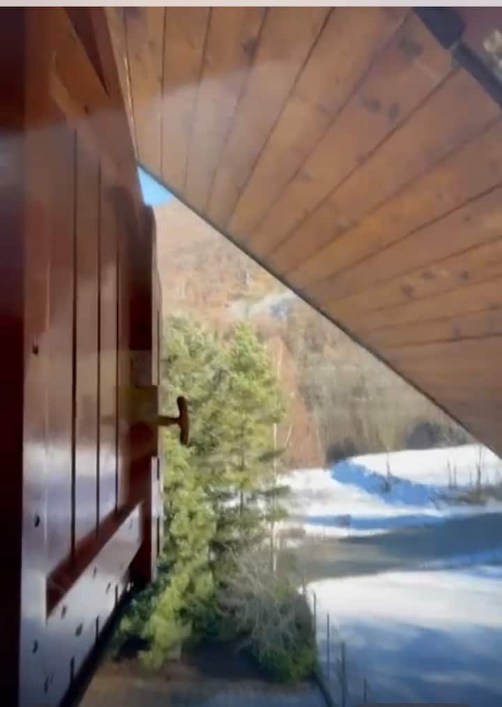 Il Rustico - Agenzia Immobiliare