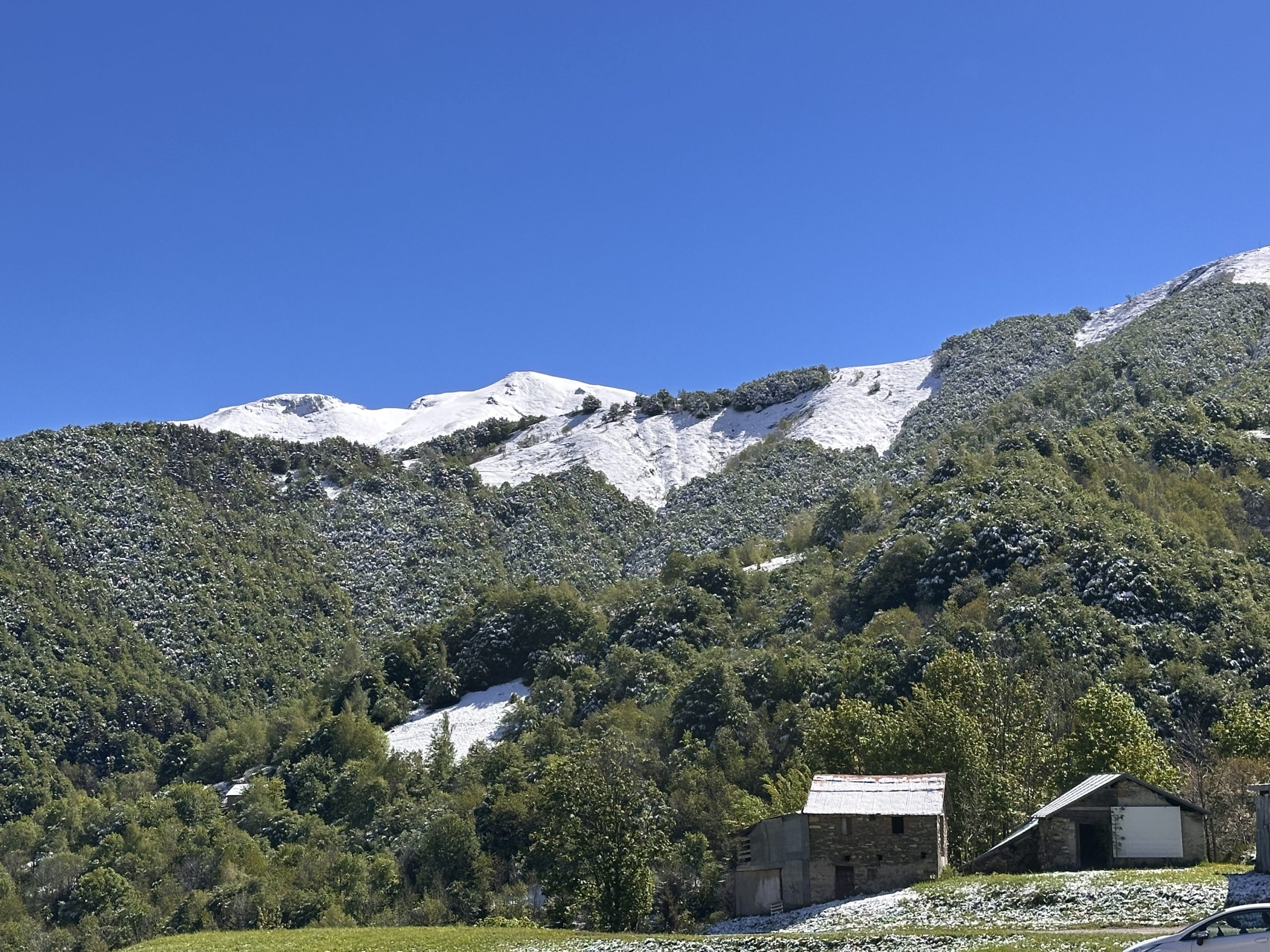 Il Rustico - Agenzia Immobiliare